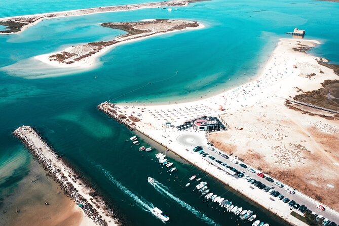 2 Hours Boat Tour in Ria Formosa - Visitor Reviews and Feedback