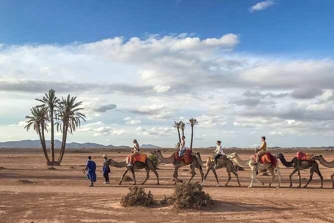 2 Hours Camel Ride in The Famous Marrakech Palm Groves and Berber ...