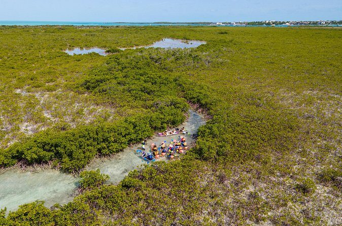 2 Hours Clear Kayaking Activity on Mangrove Cay - FAQs