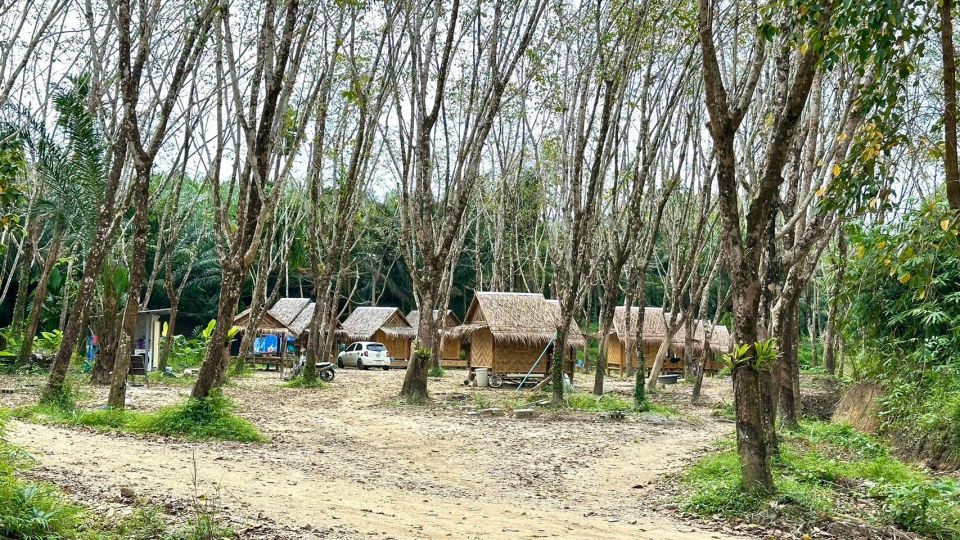 2 Hours-Early Bird Guide Tour in Khao Lak Elephant Sanctuary - Exploring the Sanctuary