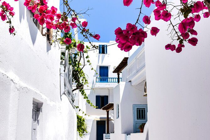 2 Hours Feel Like A Local Walking Tour in Mykonos Town - An In-Depth Look at the Tour Experience