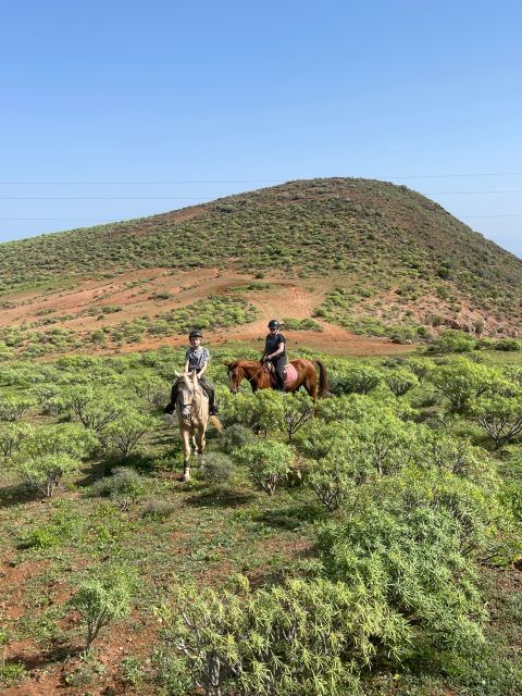 2 hours Green Mountains Horse Riding Tour - Practical Details