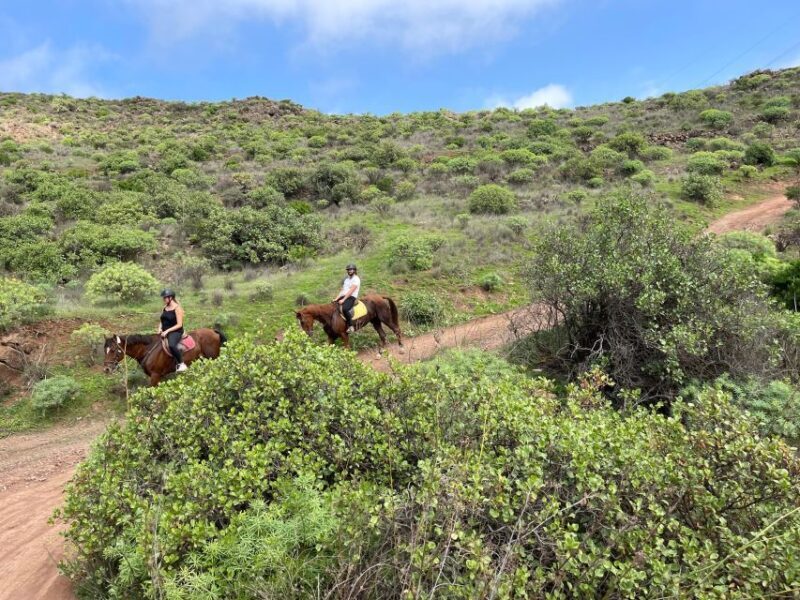 2 hours Green Mountains Horse Riding Tour - The Sum Up