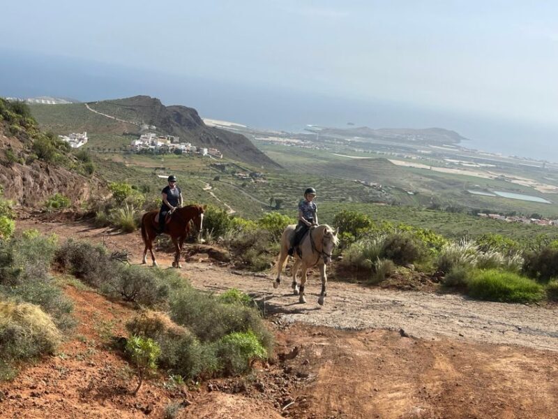 2 hours Green Mountains Horse Riding Tour - FAQ