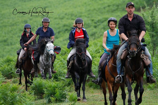 2-Hours Guided Drinos Valley Ride - Key Points