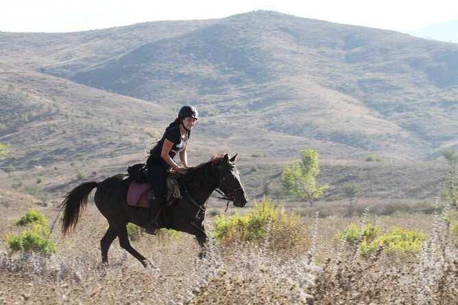 2-Hours Guided Drinos Valley Ride - Spotting Wildlife and Landmarks