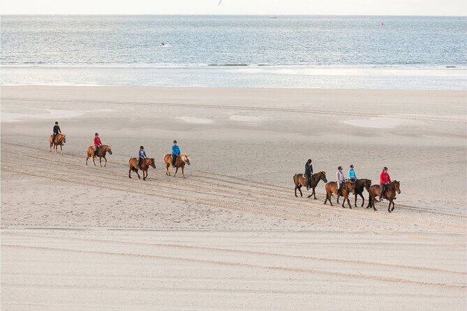 2 hours Horse Riding Excursion near the Beach in Alcúdia bay - An Authentic Ride Along Mallorca’s Coast