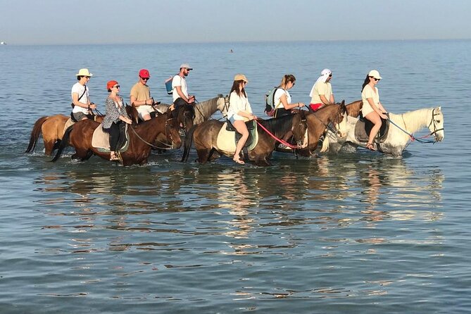 2 Hours Horse Riding on the Sea and Desert- Hurghada - Good To Know