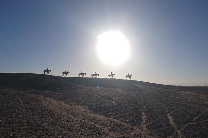 2 Hours Horse Riding on the Sea and Desert- Hurghada - Customer Feedback and Experiences