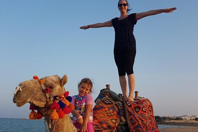 2 Hours Horse Riding on the Sea and Desert- Hurghada - Horse and Equipment Quality