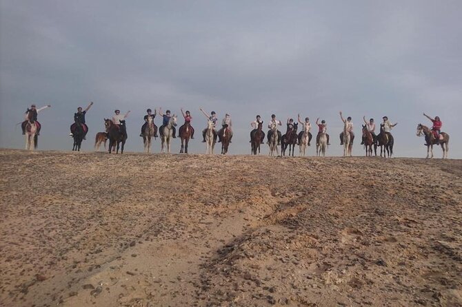 2 Hours Horse Riding on the Sea and Desert- Hurghada - Communication and Transparency