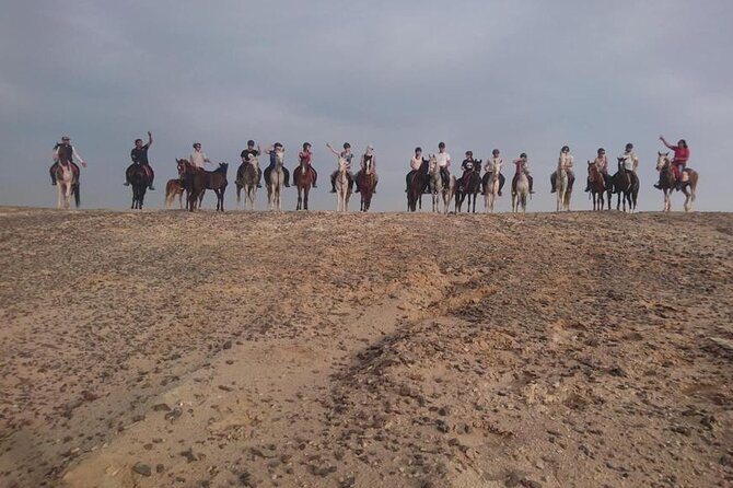 2 Hours Horse Riding on the Sea and Desert- Hurghada - Recommendations for Improvement