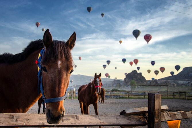 2 Hours Horse Riding Tour in Red and Rose Valley - Pickup and Meeting Point