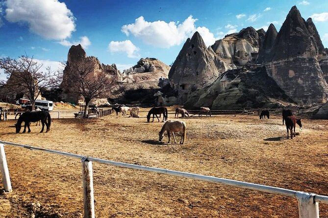 2 Hours Horse Riding Tour in Red and Rose Valley - Health and Safety Considerations
