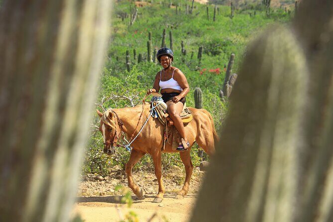 2 Hours Horseback Riding Adventure in Cabo - An In-Depth Look at the Cabo Horseback Riding Experience