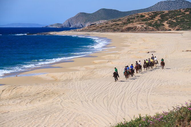 2 Hours Horseback Riding Adventure in Cabo - The Sum Up