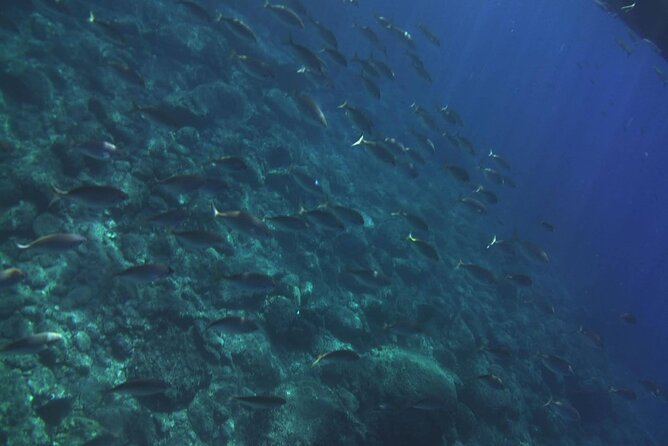 2 Hours Private Boat Tour Isola Bella Taormina Giardini Naxos - Cancellation Policy