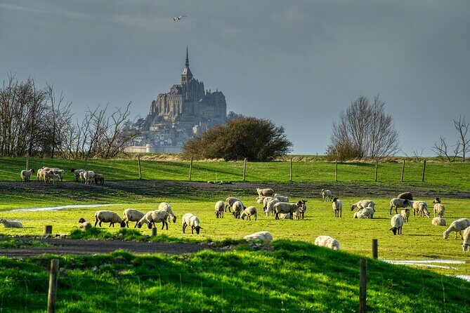 2 Hours Private Walking Tour of Mont Saint Michel - An In-Depth Look at the Tour