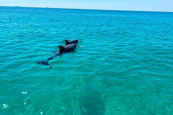 2 Hours Shell Island Jet Ski Tour - FAQ  