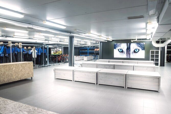 2 Hours Snowmobile Safari to the Levi Nature - The Sum Up