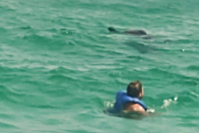 2 Hours Swim with the Dolphins in Panama City - Cost and Value