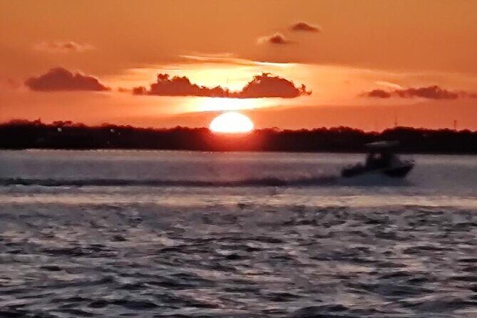 2 Hours Swim with the Dolphins in Panama City - Authentic Marine Encounters and Review Highlights