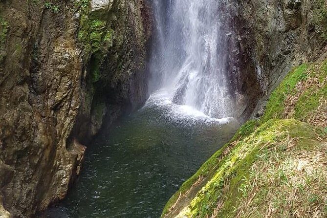 2 Hours Trekking Waterfall Tour in Tobago - Exploring the 2 Hours Trekking Waterfall Tour in Tobago: A Practical Review