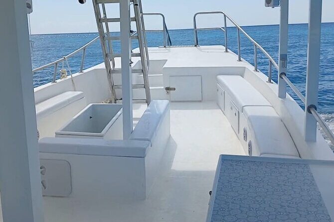 2 Hours Turtle Feeding, Shipwreck & Reef Snorkeling Tour Barbados - Who Is This Tour Best For?