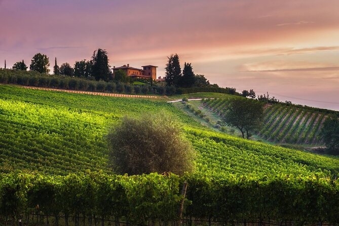 2 Hours Visit and Wine Tasting With Tastings in Val DORCIA - Good To Know