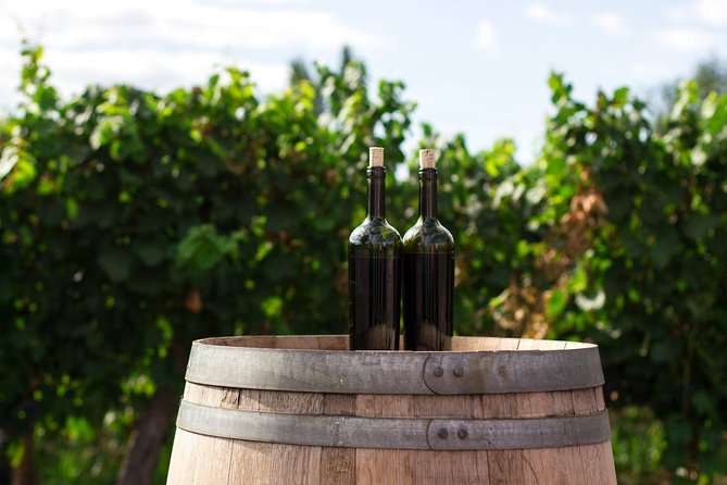 2 Hours Water to Wine Kayak Trip From Cottonwood - Wine Tasting Highlights
