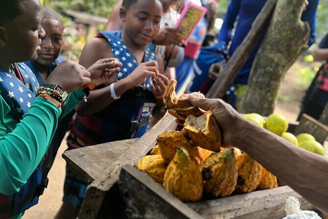 2-in-1 Nature Thrill  Blue Hole + Dunns River Experience - The Sum Up