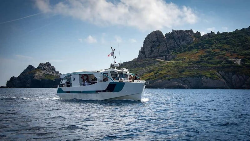 2 Islands Cruise: Porquerolles & Port-Cros with stops - Key Points