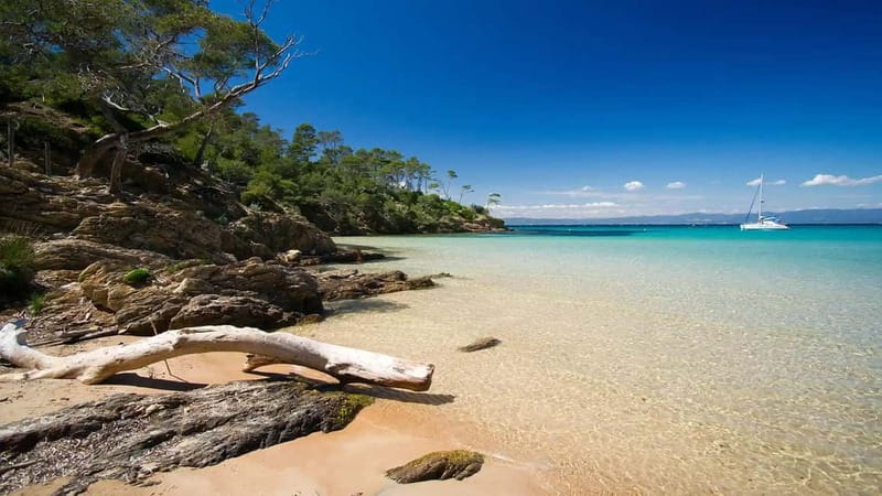 2 Islands Cruise: Porquerolles & Port-Cros with stops - Who Will Love This Trip?