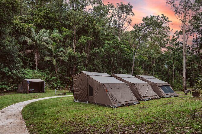 2 Night Rainforest Glamping Adventure near Byron Bay - The Experience: What to Expect on This Rainforest Adventure