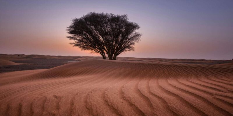 2 Night Tour From Fes To Marrakech Via Merzouga Sahara - Camel Ride and Berber Tent