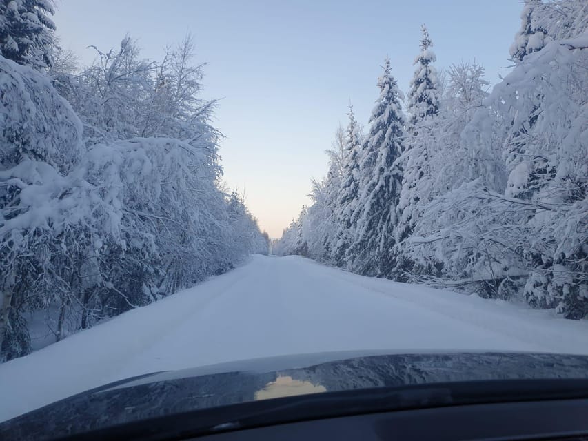 2 Nights Lapland experience - Authentic Experiences That Stand Out