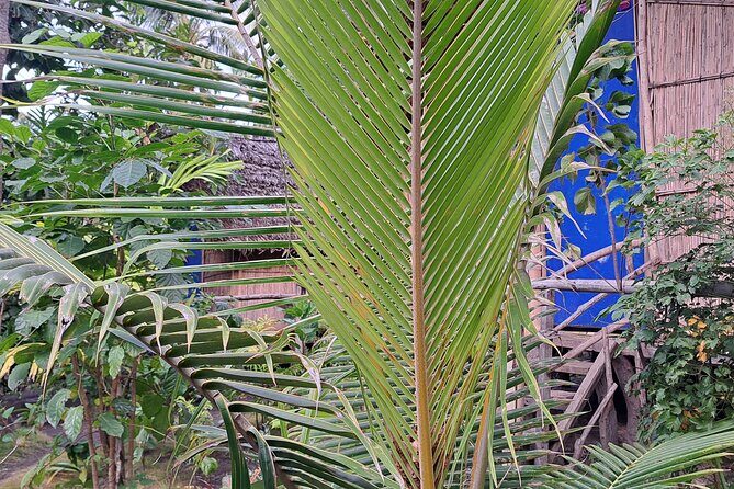 2 Nights Stay in Tanna including Accommodation, meals & transfers - Key Points