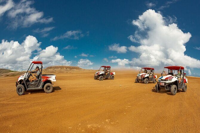 2-Seater UTV Island Tour in Aruba - Key Points