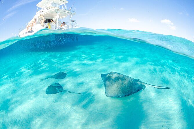 2-stop Adventure: Stingray City and snorkeling at Cayman Reefs - The Full Experience in Detail
