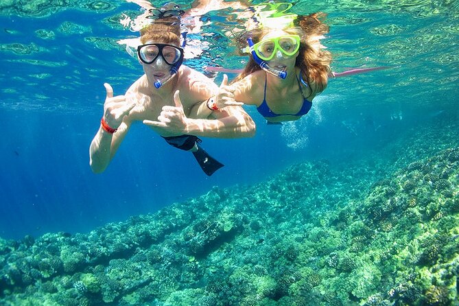 2-Stop Adventure: Stingray City and Snorkeling at Cayman Reefs - Pricing and Booking Information