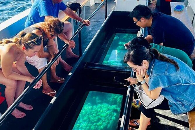 2 Stop Reef Snorkel and Glass Bottom Boat Adventure - An In-Depth Look at the Tour Itinerary