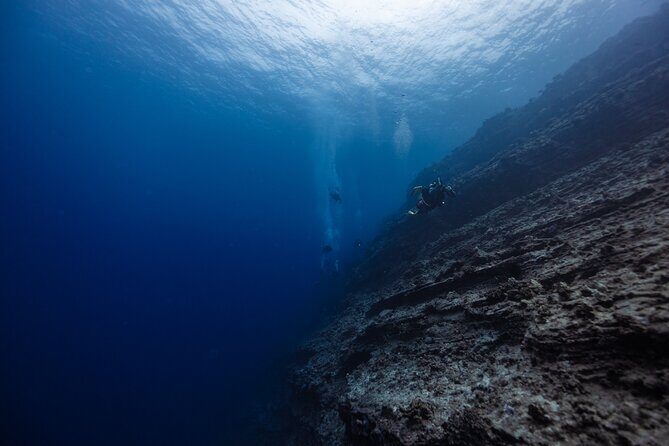 2-Tank Dive Featuring the Molokini Crater - Key Points