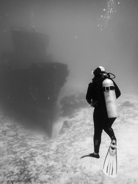 2 Tank Dive in Cozumel's Marine National Park - Inclusions and Amenities