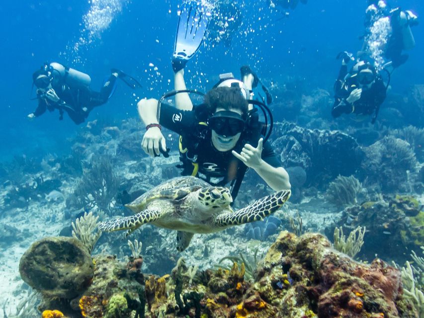 2 Tank Dive in Cozumel's Marine National Park - Highlights of the Dive