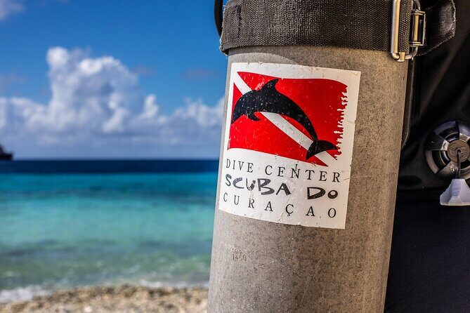 2 Tank Guided Dive half-day - What to Expect: An Authentic Underwater Adventure