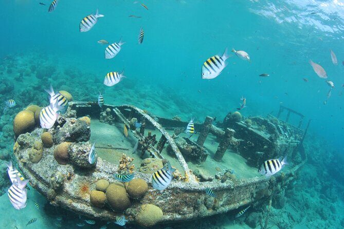 2 Tank Guided Dive half-day - The Sum Up