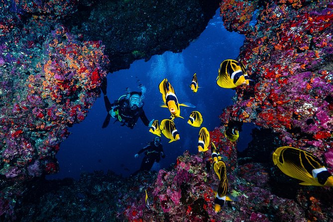 2 Tank Lanai Cathedral Scuba Dive (Boat) - Dive Depths