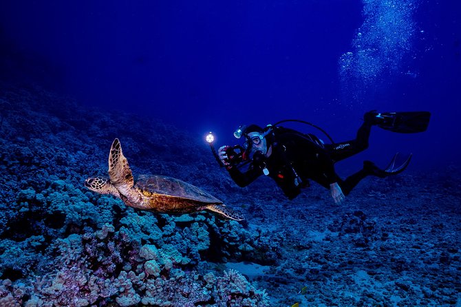 2 Tank Lanai Cathedral Scuba Dive (Boat) - Amenities Provided