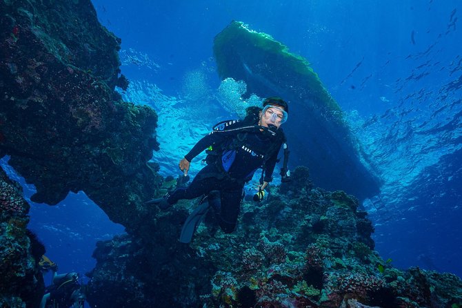 2 Tank Lanai Cathedral Scuba Dive (Boat) - Crew and Equipment Feedback