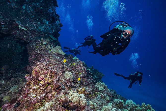 2 Tank Lanai Cathedral Scuba Dive (Boat) - Frequently Asked Questions